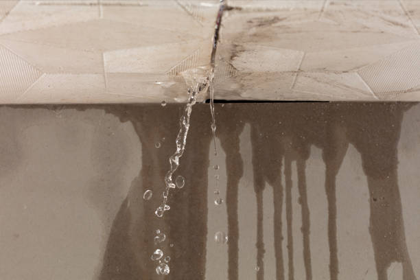 Professional Sewage Cleanup technician working in Venice, IL